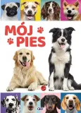 moj-pies-fenix-stan-nowy
