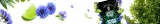 verde-mate-green-blue-moon-50-g