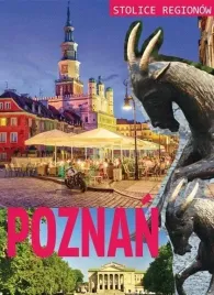 stolice-regionow-poznan-ibis-horyzonty