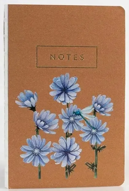 notes-cykoria-niezapominajka
