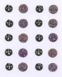 dzety-samoprzylepne-20szt-brewis
