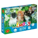 memosy-koty-alex-alexander-stan-nowy
