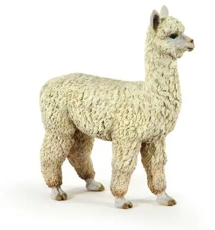 alpaka-papo