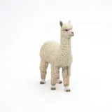 alpaka-papo-marka-papo
