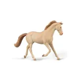 klacz-thoroughbred-masci-perlino-collecta-stan-nowy