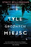 tyle-groznych-miejsc-agora-stan-nowy