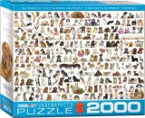 puzzle-2000-swiat-psow-eurographics-stan-nowy