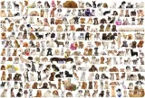 puzzle-2000-swiat-psow-eurographics-kolekcja-inna