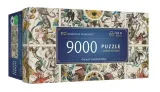 puzzle-9000-ancient-celestial-maps-trefl-trefl-bohater-brak