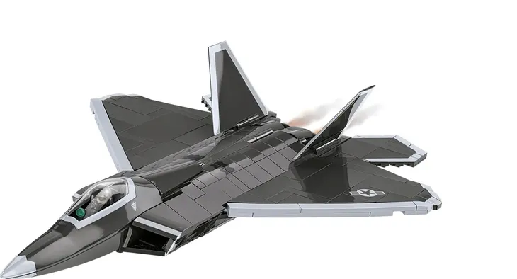 armed-forces-lockheed-f-22-raptor-cobi