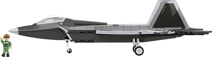 armed-forces-lockheed-f-22-raptor-cobi