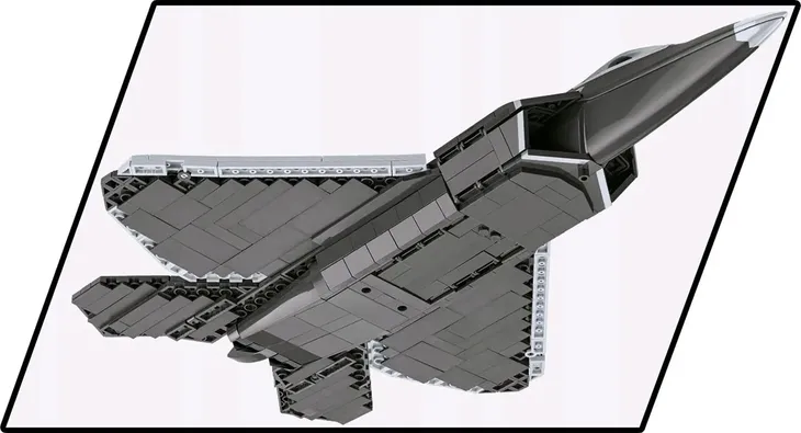 armed-forces-lockheed-f-22-raptor-cobi