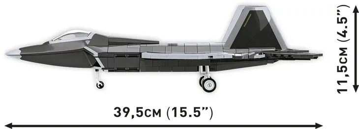 armed-forces-lockheed-f-22-raptor-cobi