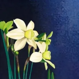 karnet-z-koperta-narcyz-susan-entwistle