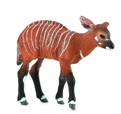 krowa-bongo-collecta
