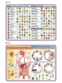 podkladka-edu-056-witaminy-pasozyty-visual