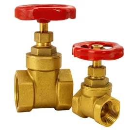 zasuwa-wodna-mosiezna-zawor-grzybkowy-odcinajacy-2-cal-instalacja-wody-dn50