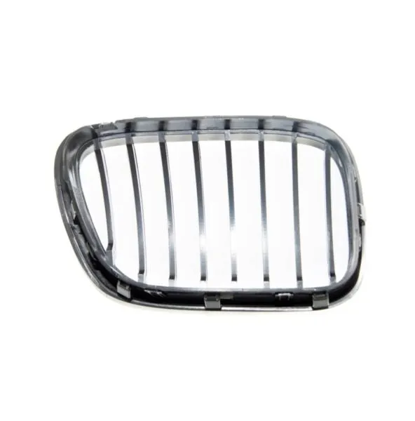 grill-nerki-do-bmw-x5-e53-99-03-single-line