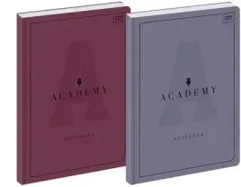 brulion-a4-96k-kratka-academy-5szt-interdruk