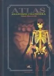 atlas-anatomii-czlowieka-az-adam-zborowski