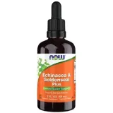 echinacea