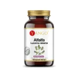 alfalfa-lucerna-siewna