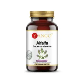 alfalfa-lucerna-siewna