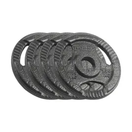 obciazenie-zeliwne-zestaw-4x1-25kg-6kg-otwor-31mm-talerz-z-uchwytami-rebel