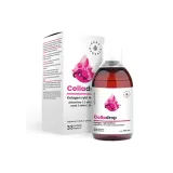 colladrop