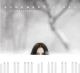 schwanengesang-cd-soliton