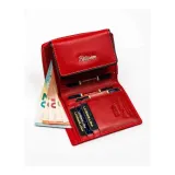 ptnka2670731-kod-producenta-ptnka2670731