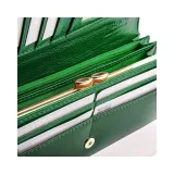 zbpdbs100zielony60479-kod-producenta-zbpdbs100zielony60479