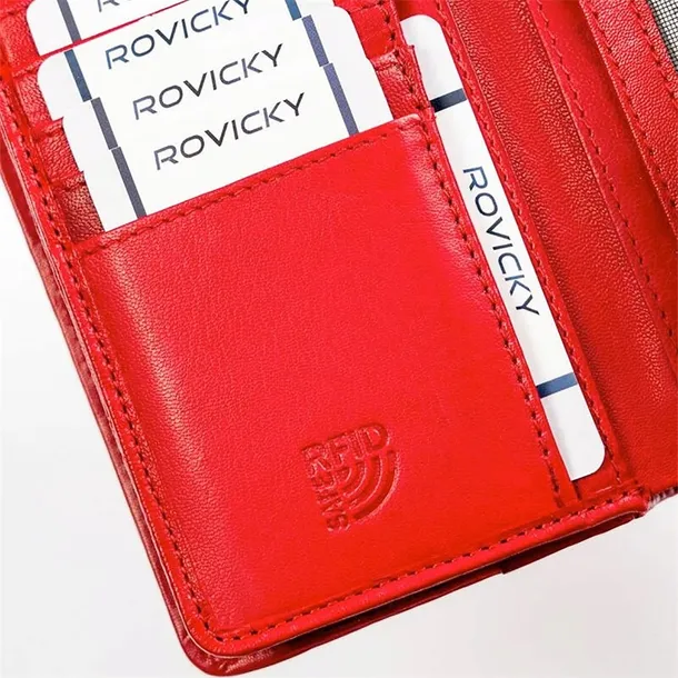 r613ddw-kod-producenta-r613ddw