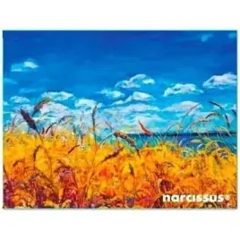 teczka-kopertowa-pp-a6-niebo-narcissus