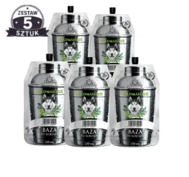 5x-koncentrat-waldmaister-250ml-zestaw-5-sztuk
