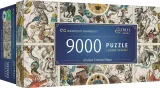 puzzle-9000-uft-ancient-celestial-maps-81031-bohater-brak