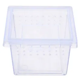 terrario-insect-box-mini-terrarium-dla-owadow-65-x-65-x-45-cm