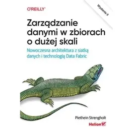 zarzadzanie-danymi-w-zbiorach-o-duzej-skali-helion