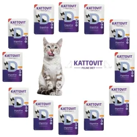 kattovit-vital-care-digestive-zestaw-12x85g