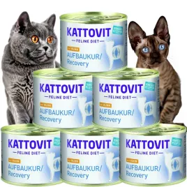 kattovit-recovery-kurczak-regeneracja-pakiet-6x185g