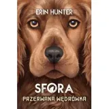 sfora-t-4-przerwana-wedrowka-nowa-basn