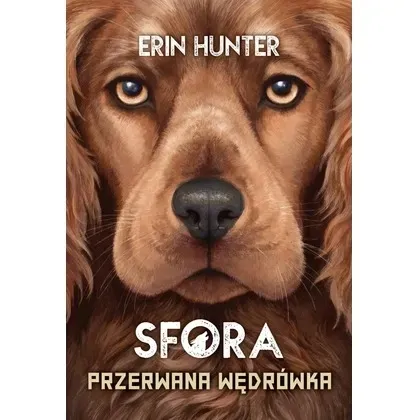 sfora-t-4-przerwana-wedrowka-nowa-basn