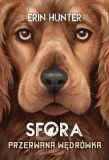 sfora-t-4-przerwana-wedrowka-nowa-basn-wydawnictwo-nowa-basn