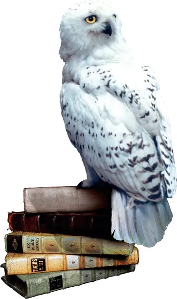 harry-potter-i-czytacz-mysli-stan-nowy