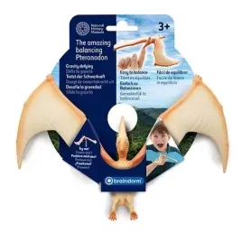 balansujacy-pteranodon-brainstorm