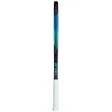 ezone-100sl-kod-producenta-tez100sl2sb