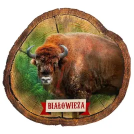 magnes-na-lodowke-pieniek-bialowieza-zubr