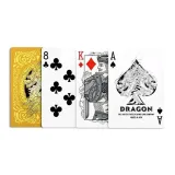 bicycle-gold-dragon-back-rodzaj-podstawa