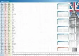 biuwar-irregular-verbs-visual-system