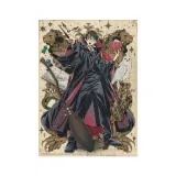 puzzle-250-harry-potter-harry-dodo-kolekcja-nowa